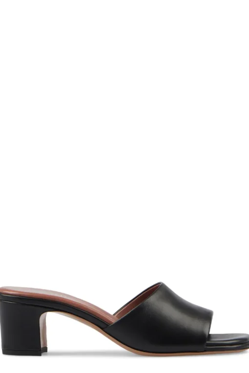 Ava Mule 50