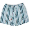 Green Stripe Swim Shorts