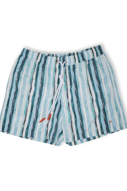 Green Stripe Swim Shorts