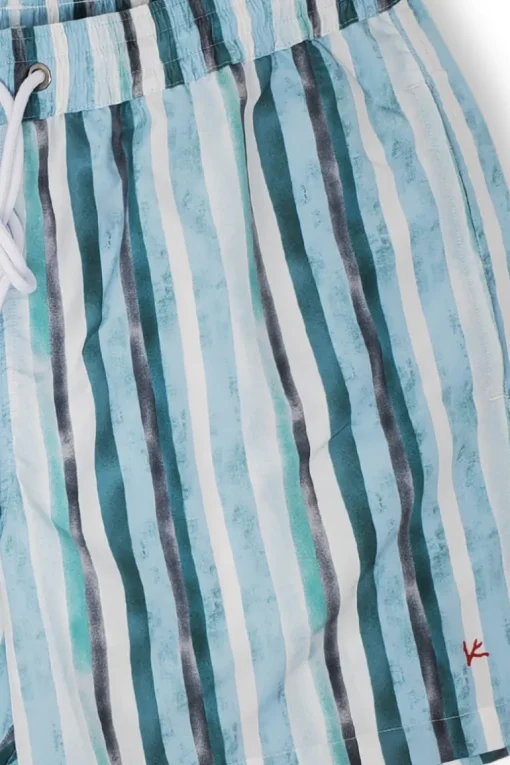 Green Stripe Swim Shorts
