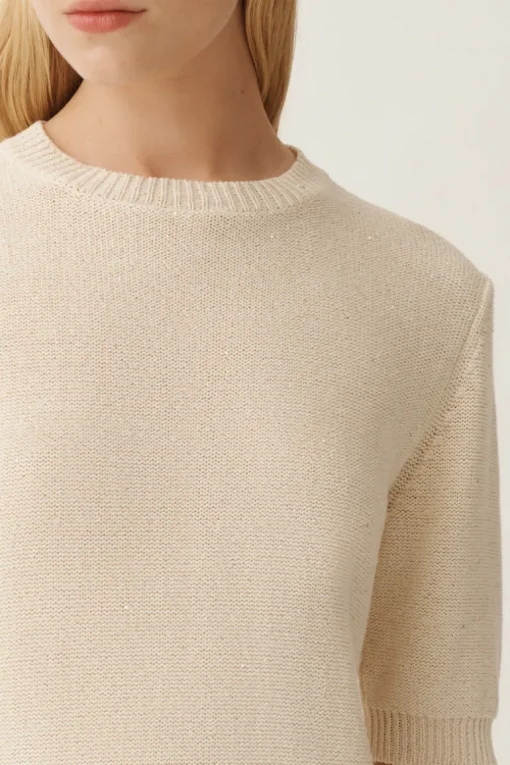 Sequin Short Sleeve Sweater