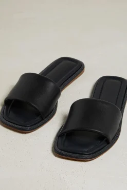 Shiny Edged Slides