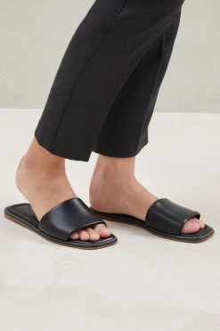 Shiny Edged Slides