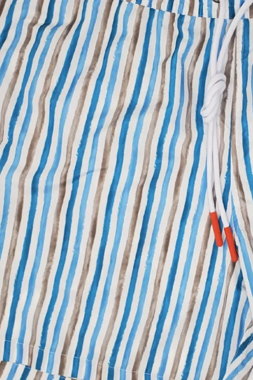 Stripe Swim Shorts