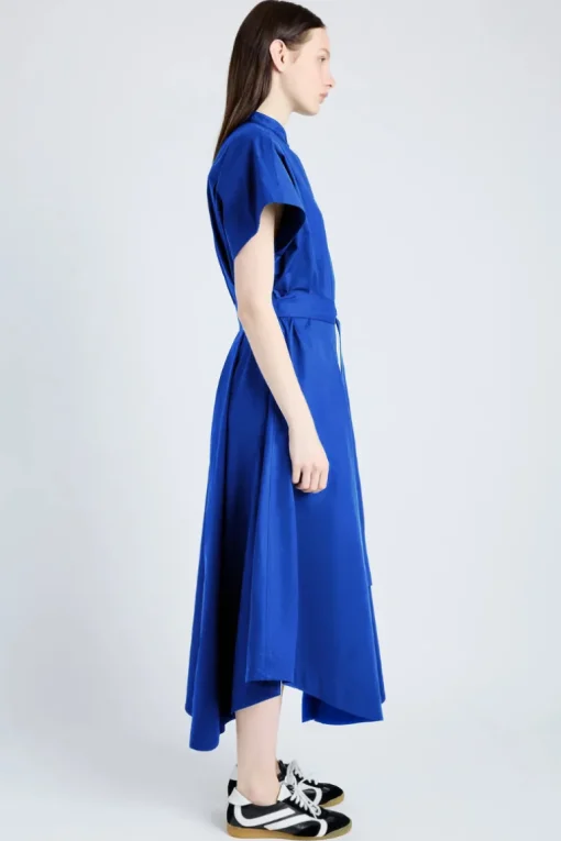 Walker Dress