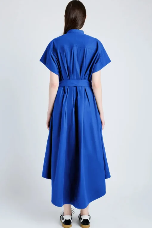 Walker Dress